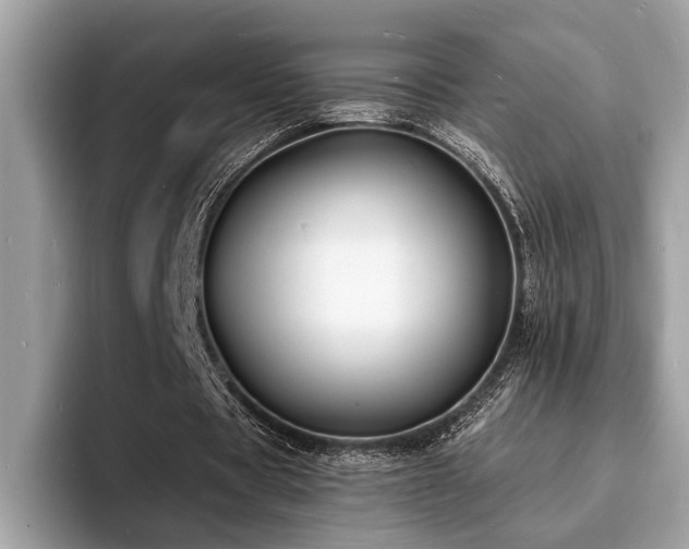 X0000093720529200710161100