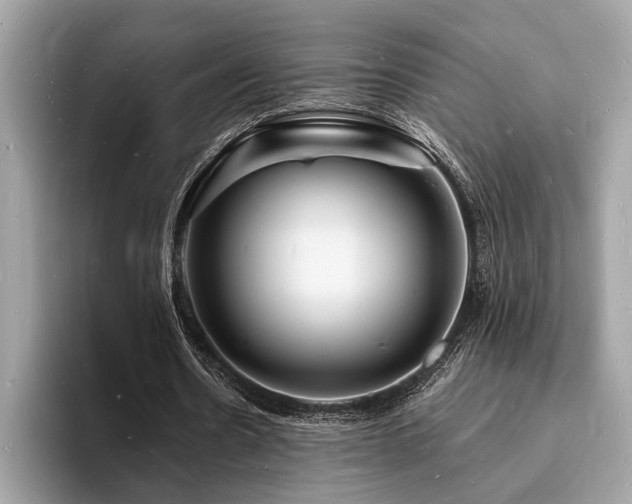 X0000093720530200710161100
