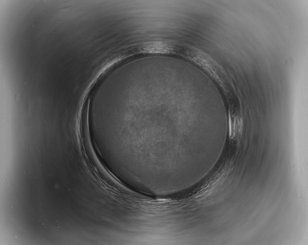 X0000093720531200710161100