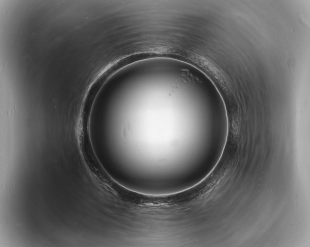 X0000093720532200710161100