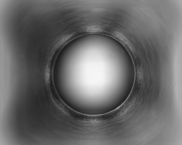 X0000093720533200710161100