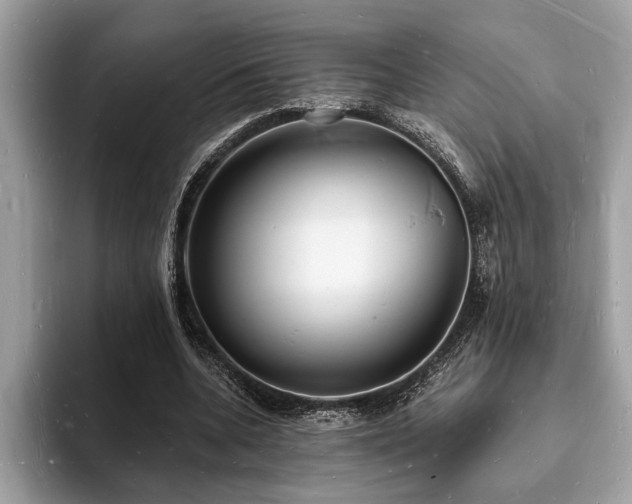 X0000093720536200710161100