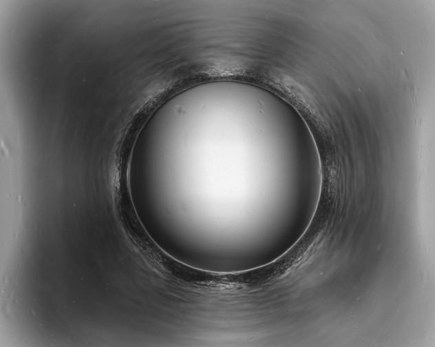 X0000093720539200710161100