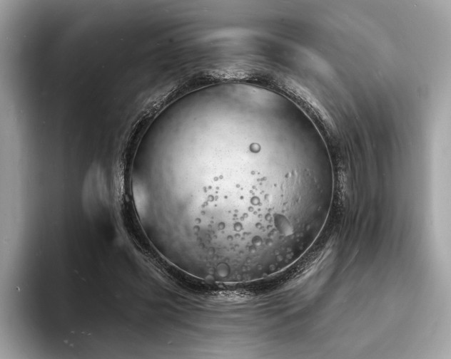 X0000093720541200710161100