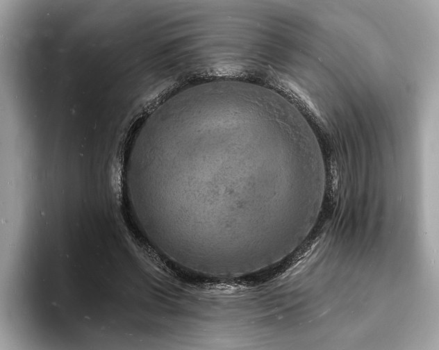 X0000093720542200710161100