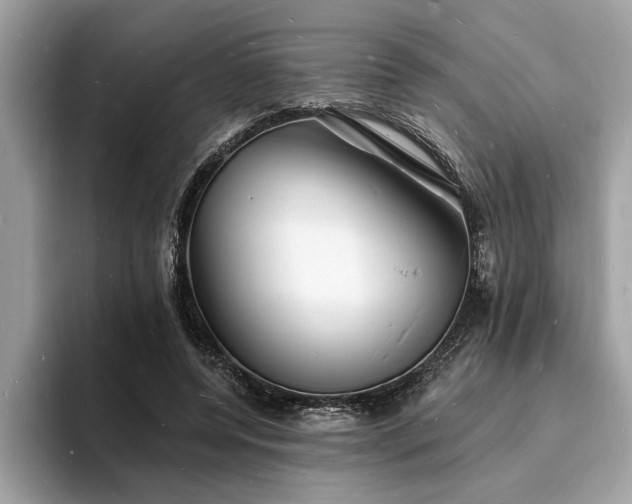 X0000093720544200710161100
