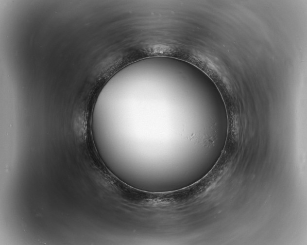 X0000093720545200710161100
