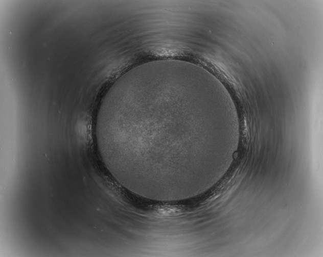 X0000093720547200710161100