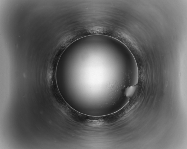 X0000093720548200710161100