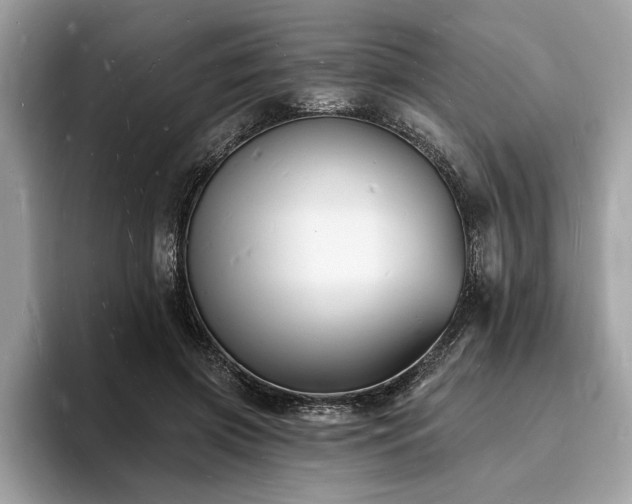 X0000093720549200710161100