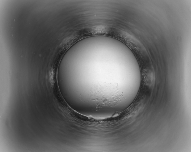 X0000093720550200710161100
