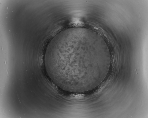 X0000093720553200710161100