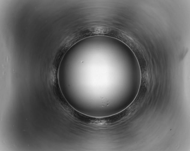 X0000093720554200710161100