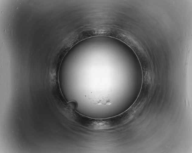 X0000093720557200710161100