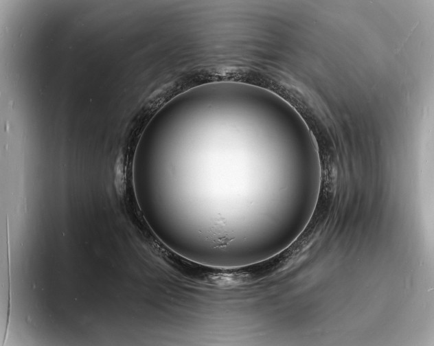 X0000093720558200710161100