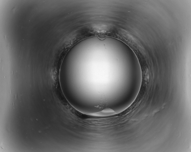 X0000093720559200710161100