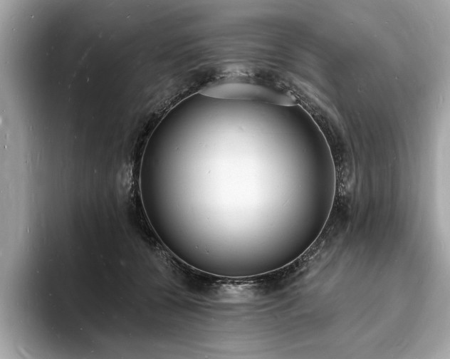 X0000093720560200710161100