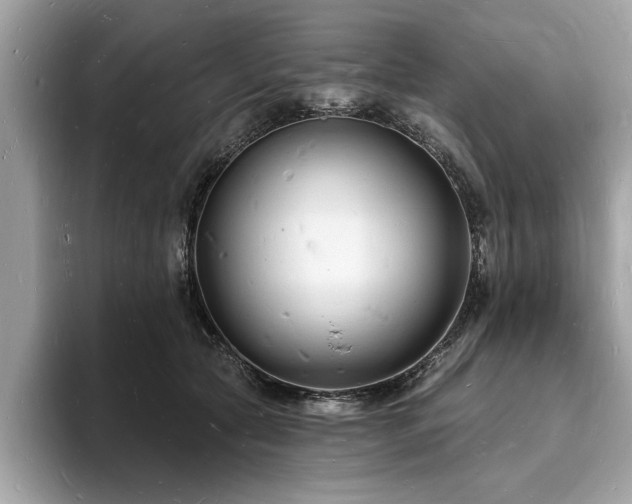 X0000093720561200710161100