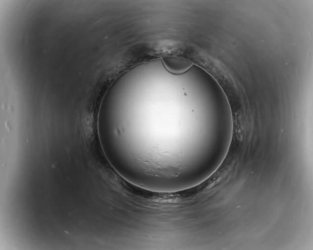X0000093720563200710161100