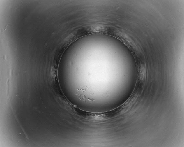 X0000093720569200710161100