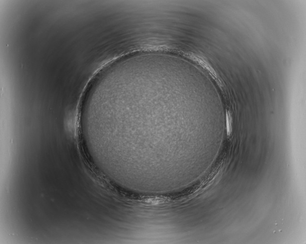 X0000093720579200710161100