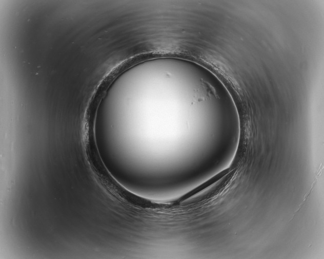 X0000093720584200710161100