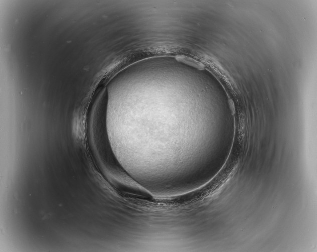 X0000093720585200710161100