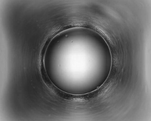 X0000093720586200710161100