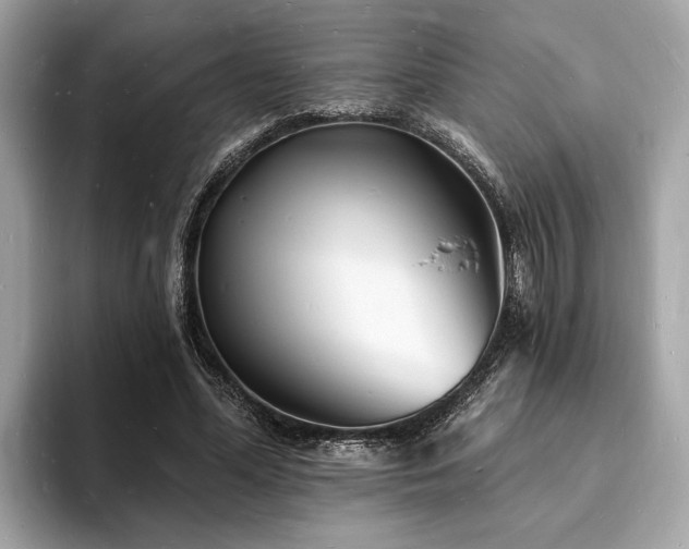 X0000093720588200710161100