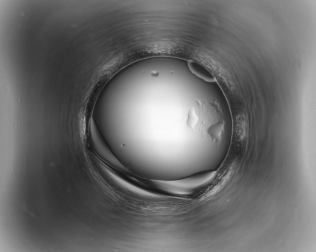 X0000093720589200710161100