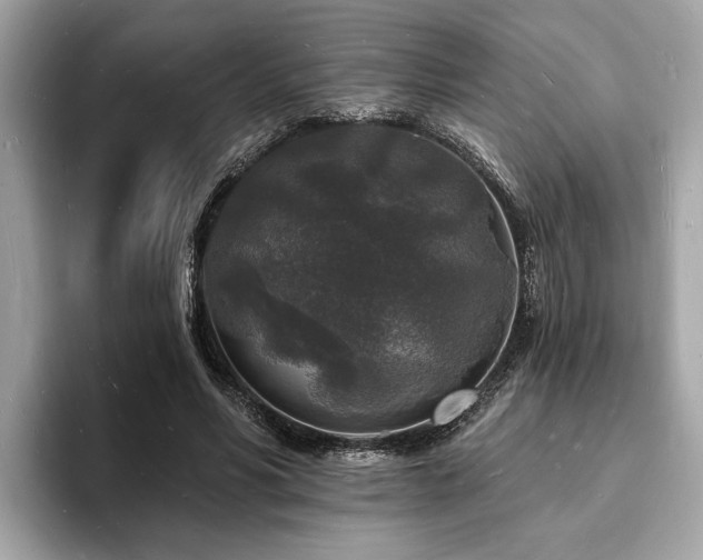 X0000093720590200710161100