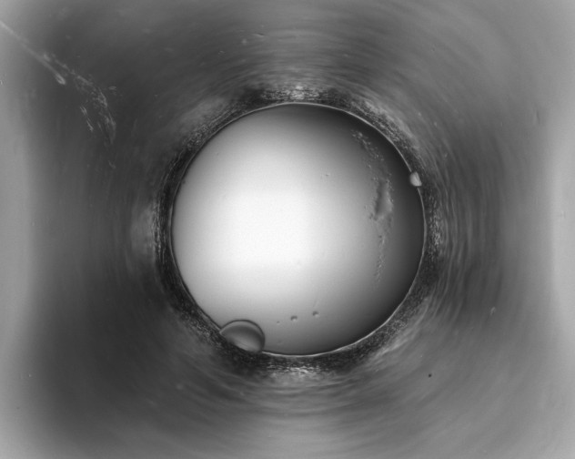 X0000093720594200710161100