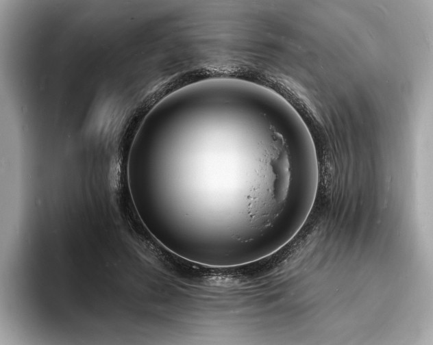 X0000093720596200710161100
