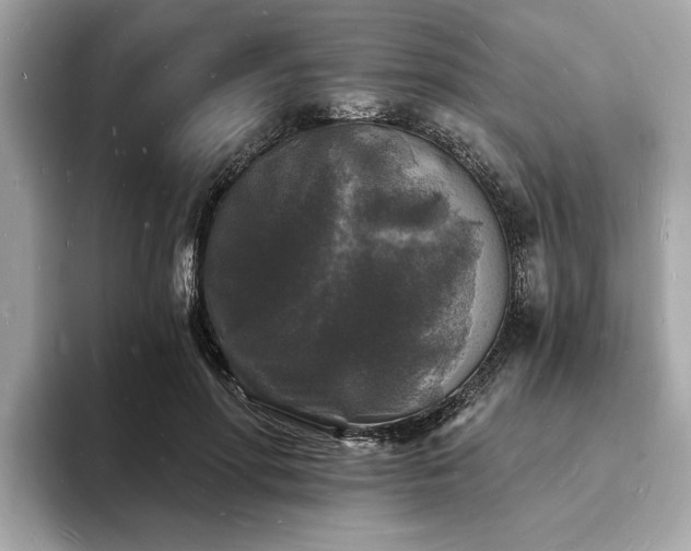 X0000093720598200710161100