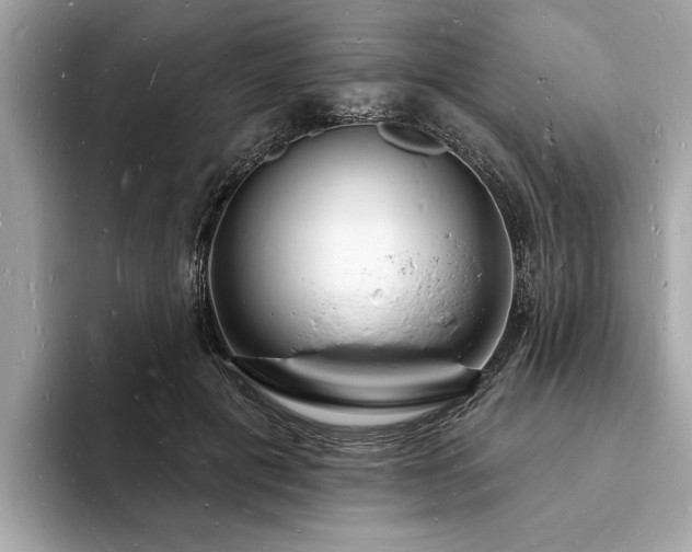 X0000093720601200710161100