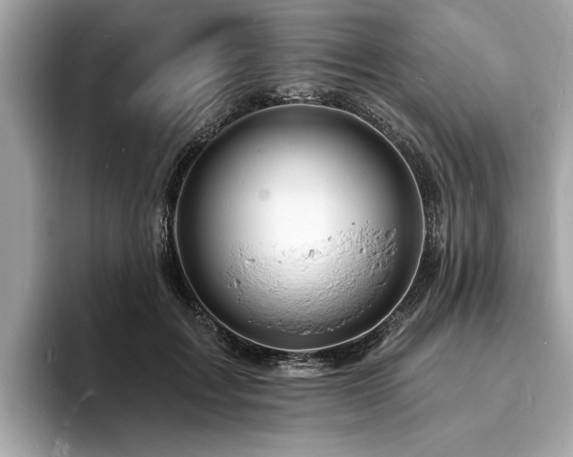 X0000093720603200710161100