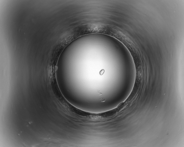 X0000093720605200710161059