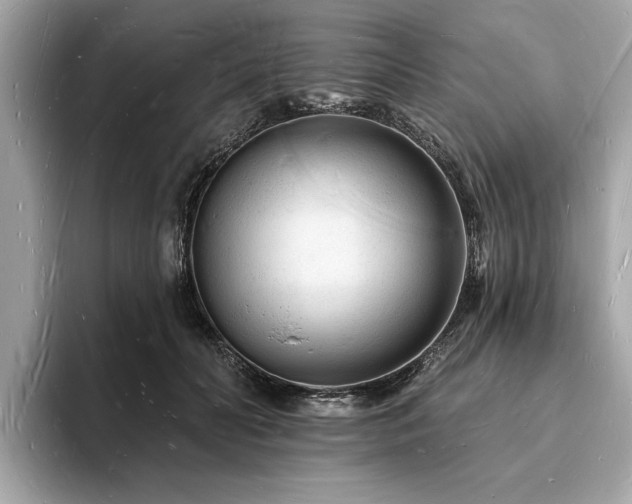 X0000093720606200710161059
