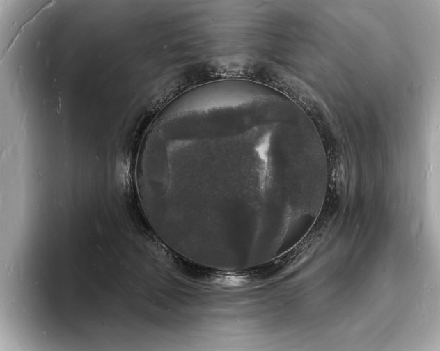X0000093720610200710161059