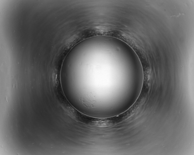 X0000093720615200710161059