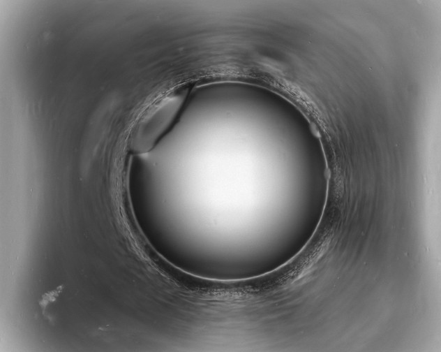 X0000093720625200710161059