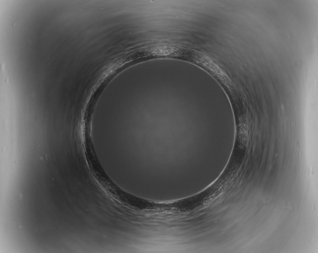 X0000093720626200710161059