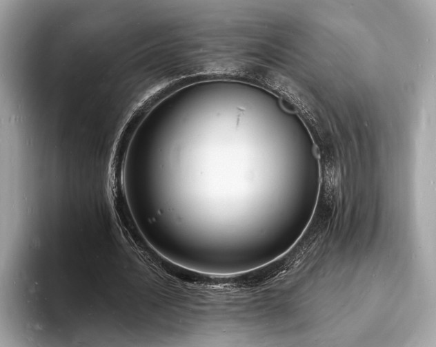 X0000093720628200710161059