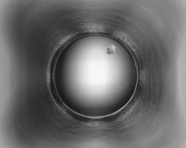 X0000093720629200710161059