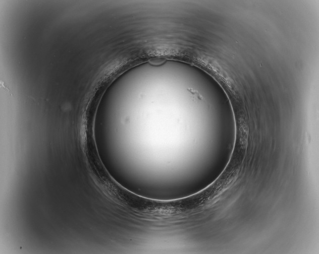 X0000093720631200710161059