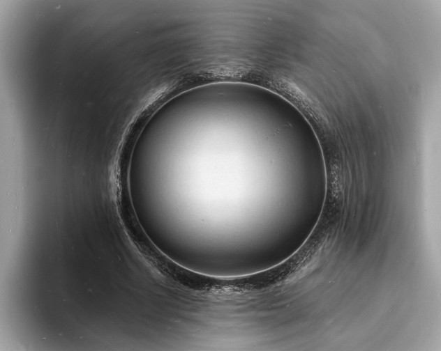 X0000093720634200710161059