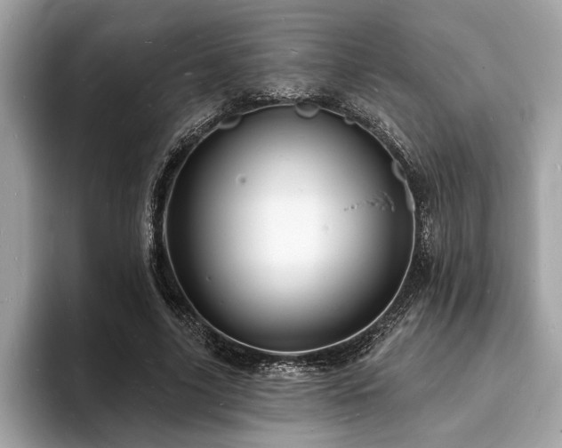 X0000093720635200710161059