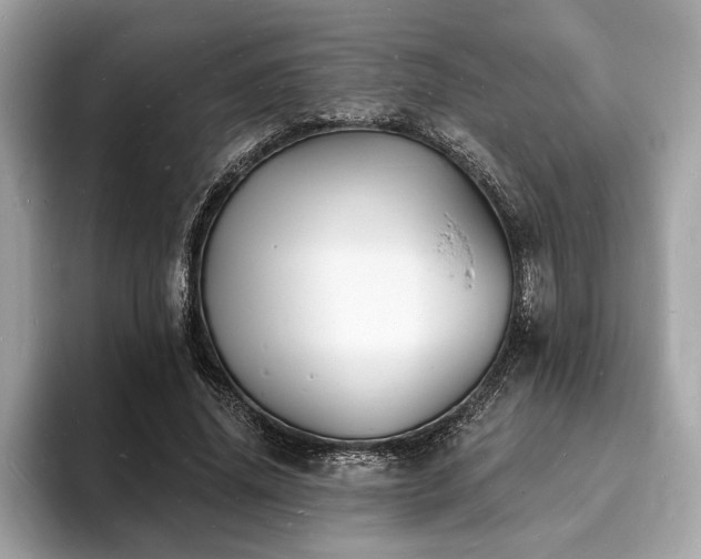 X0000093720636200710161059