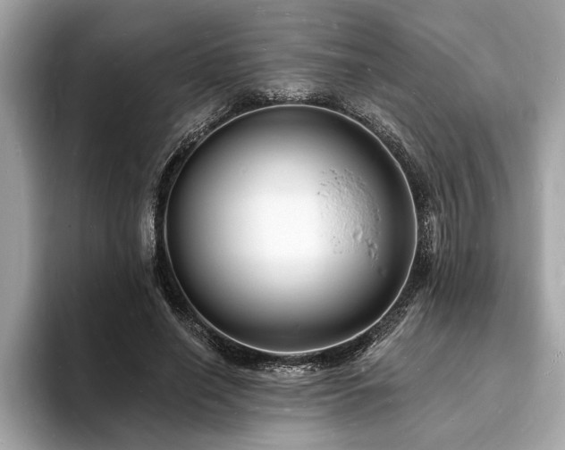 X0000093720638200710161059
