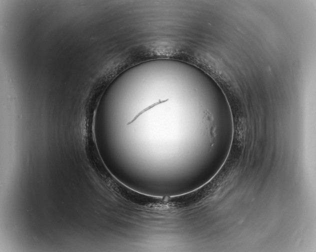 X0000093720639200710161059
